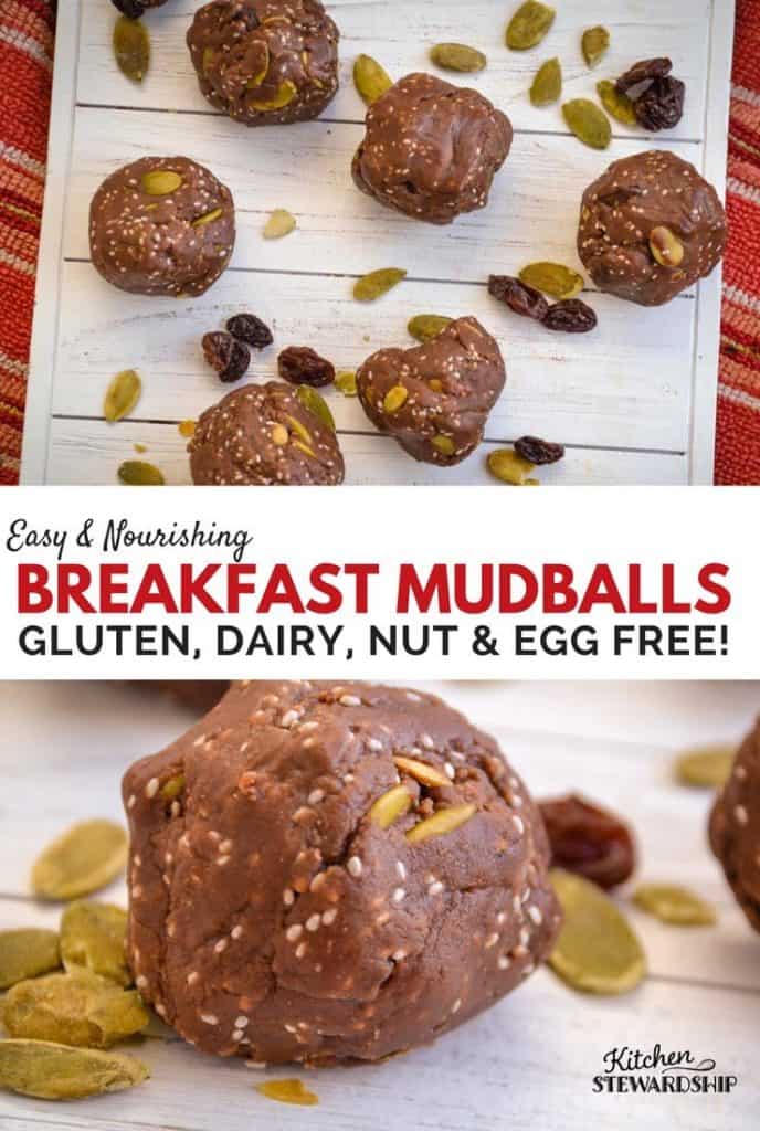 Easy and Nurishing Mudballs
