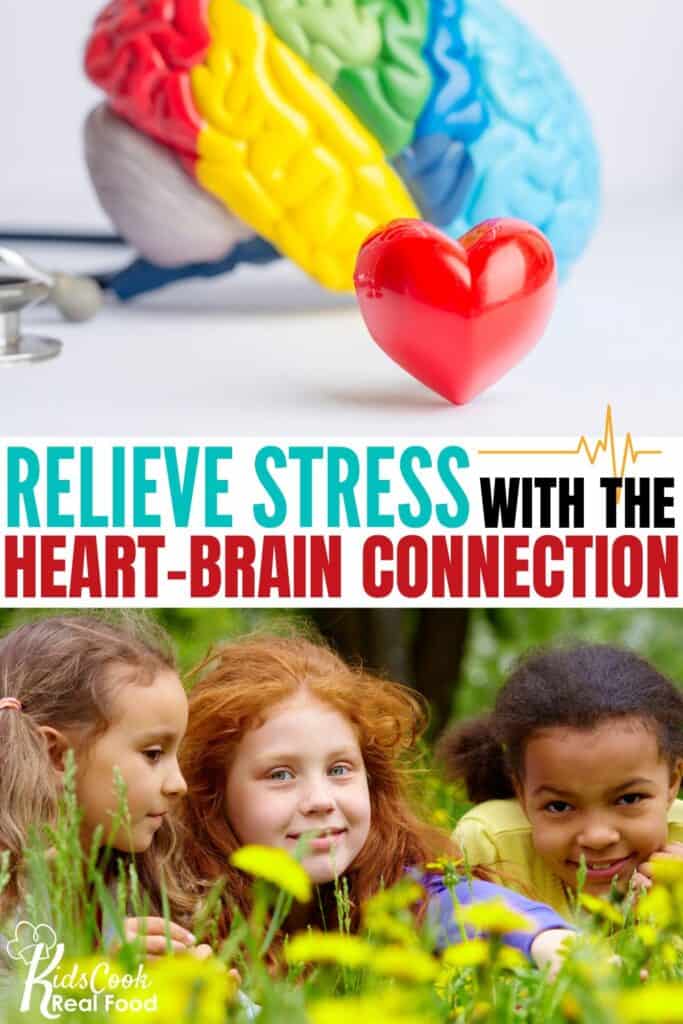 Relieve stress with the heart-brain connection