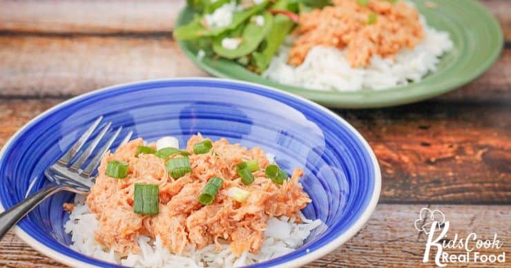 Slow Cooker BBQ Chicken