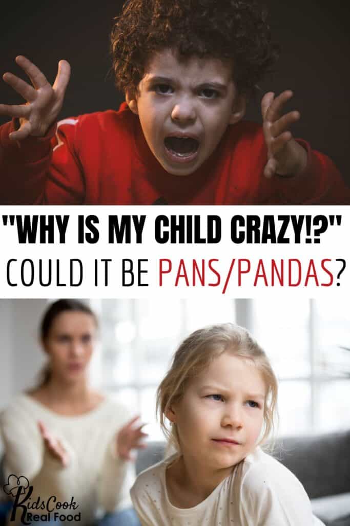 Why is my child crazy? Could it be PANS/PANDAS?