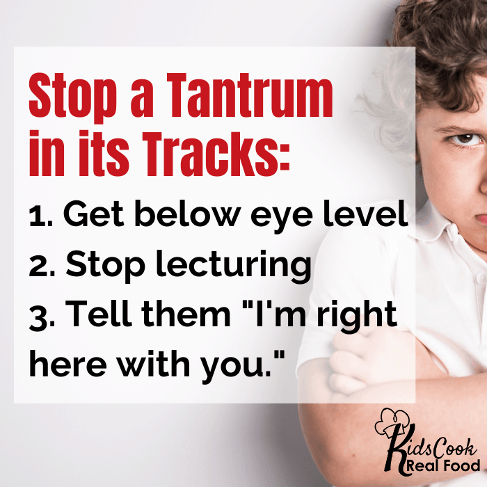 How to Stop a Tantrum in its Tracks: 1. Get below eye level 2. Stop lecturing 3. Tell them "I'm right here with you."