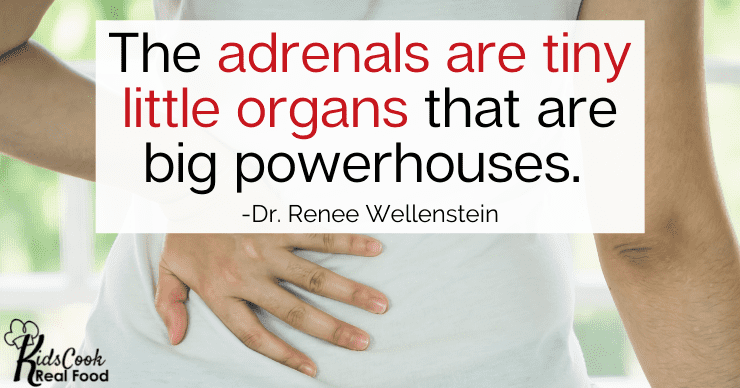 The adrenals are tiny little organs that are a big powerhouse. -Dr. Renee Wellenstein