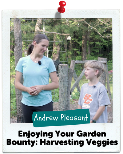 Enjoying Your Garden Bounty: Harvesting Veggies, Andrew Pleasant