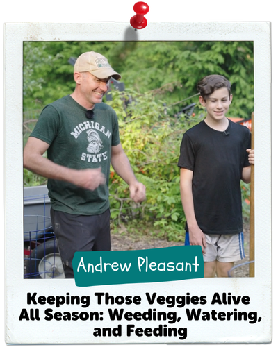Keeping Those Veggies Alive All Season: Weeding, Watering, and Feeding, Andrew Pleasant