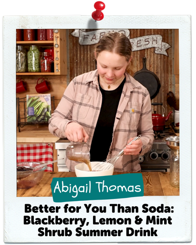 Better for You Than Soda: Blackberry, Lemon & Mint Shrub Summer Drink, Abigail Thomas of Homesteading Family