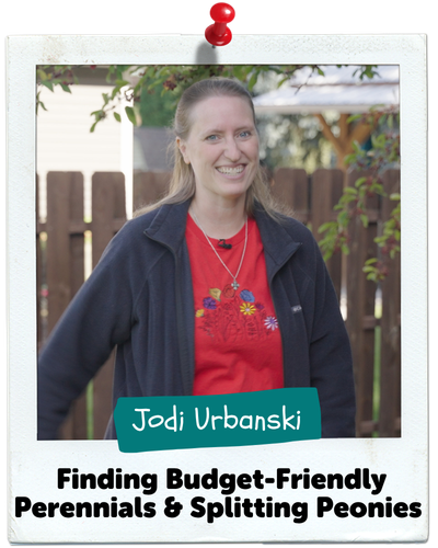 Finding Budget-Friendly Perennials & Splitting Peonies, Jodi Urbanski