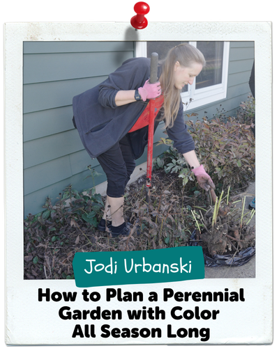 How to Plan a Perennial Garden with Color All Season Long, Jodi Urbanski