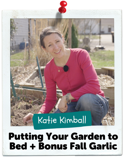Putting Your Garden to Bed + Bonus Fall Garlic, Katie Kimball