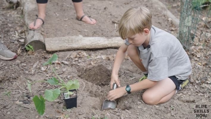 Boy Planting Seedlings in a Garden