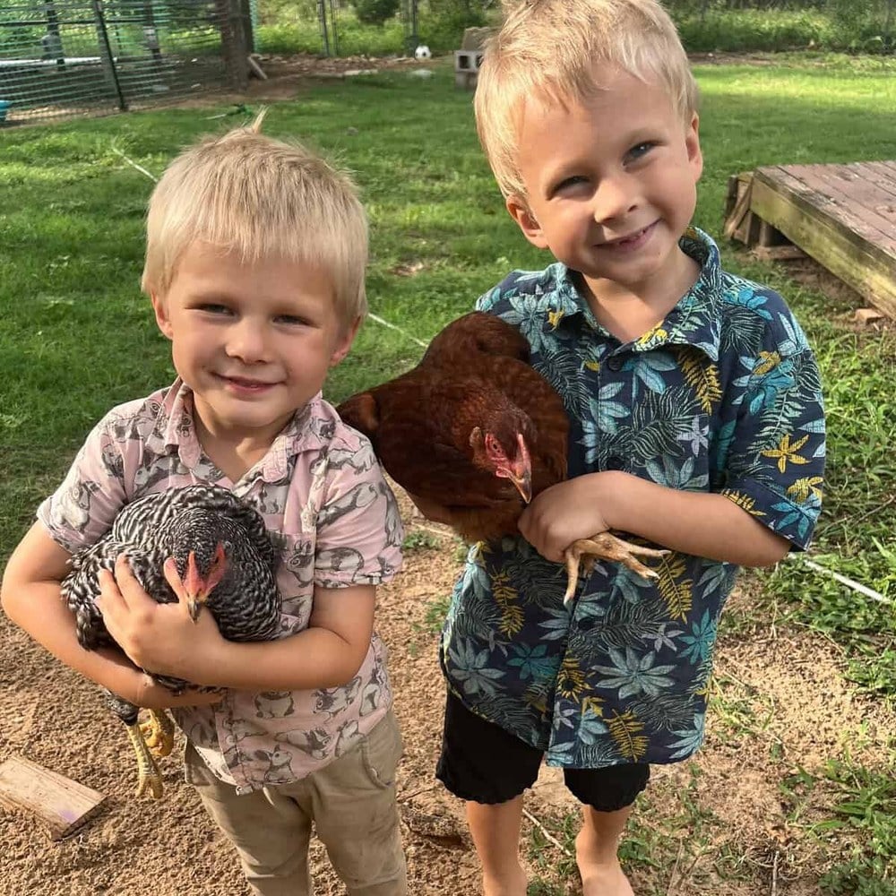 Two young boys each holding one of their chickens